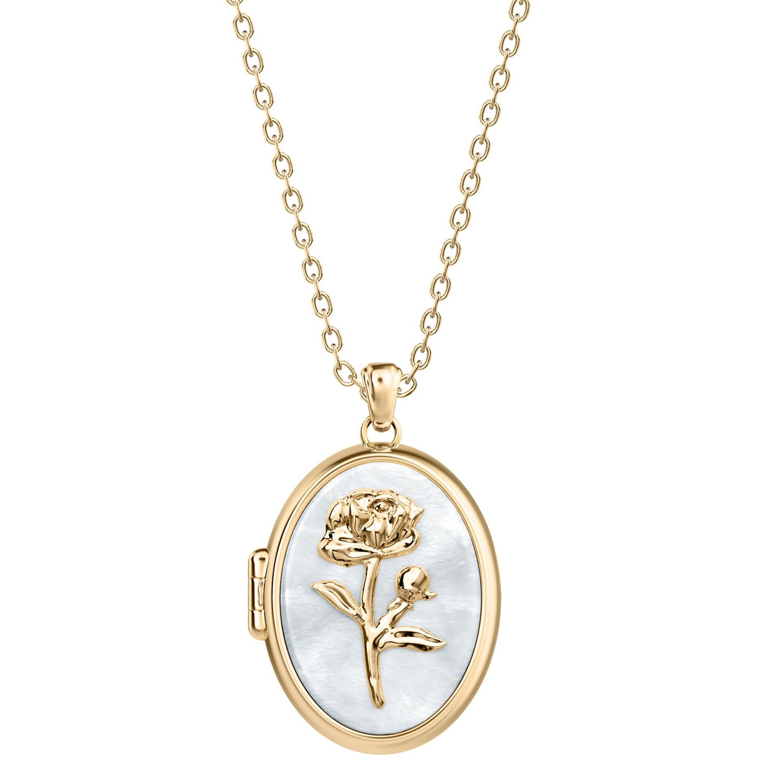 Fossil Sutton The Locket Collection Halskette Medaillon