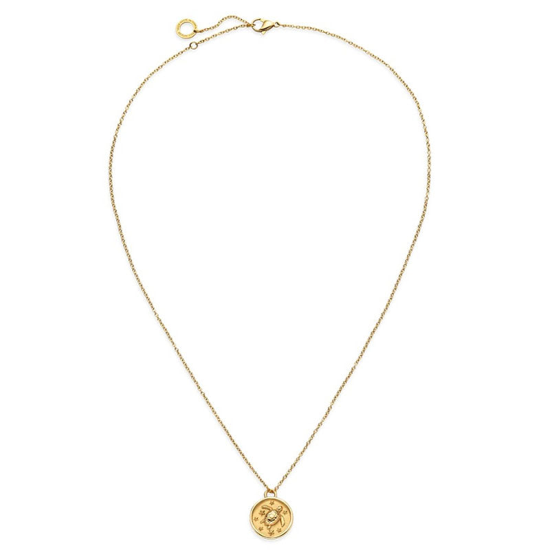 Paul Hewitt Halskette Turtle Coin Gold