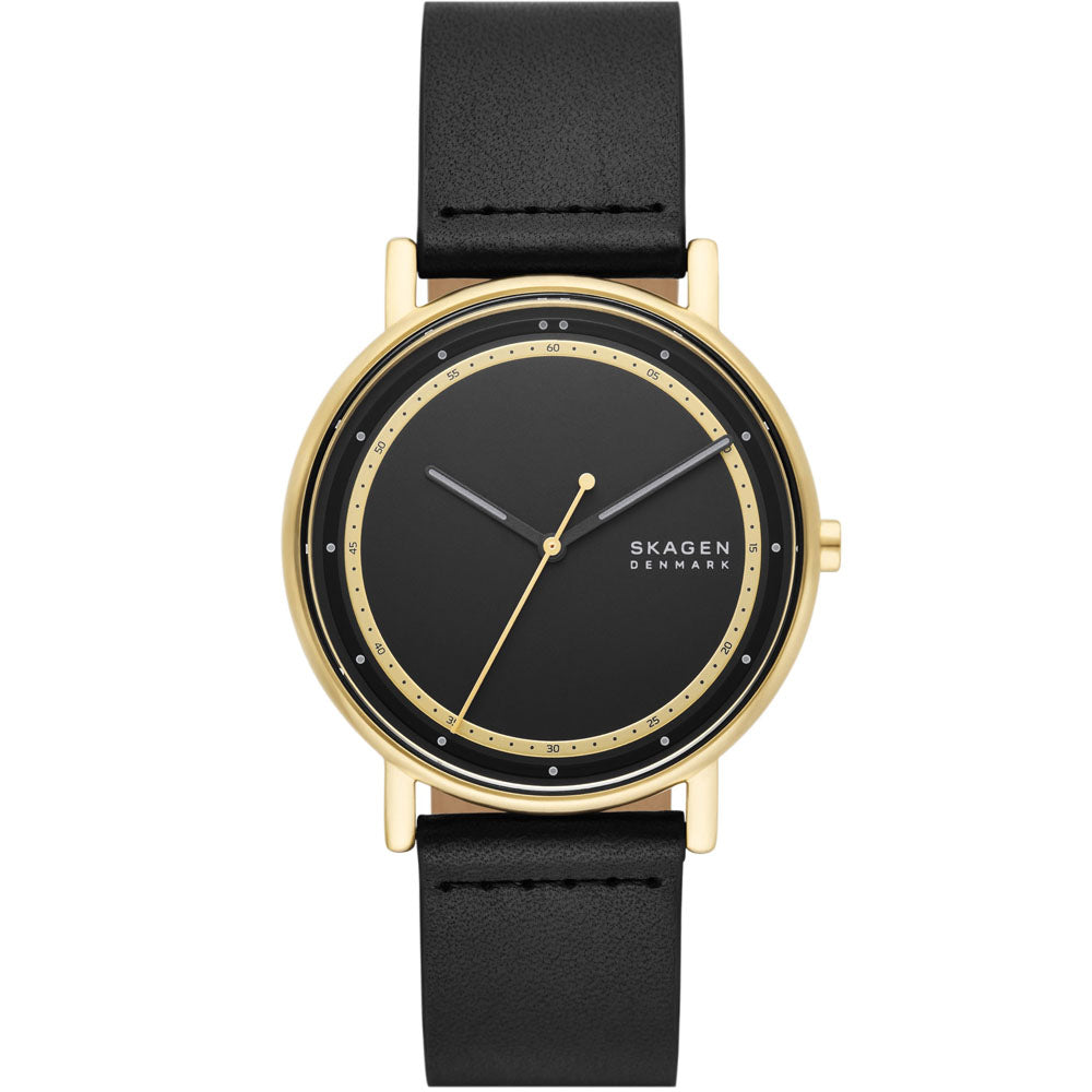 Skagen signatur watch sale