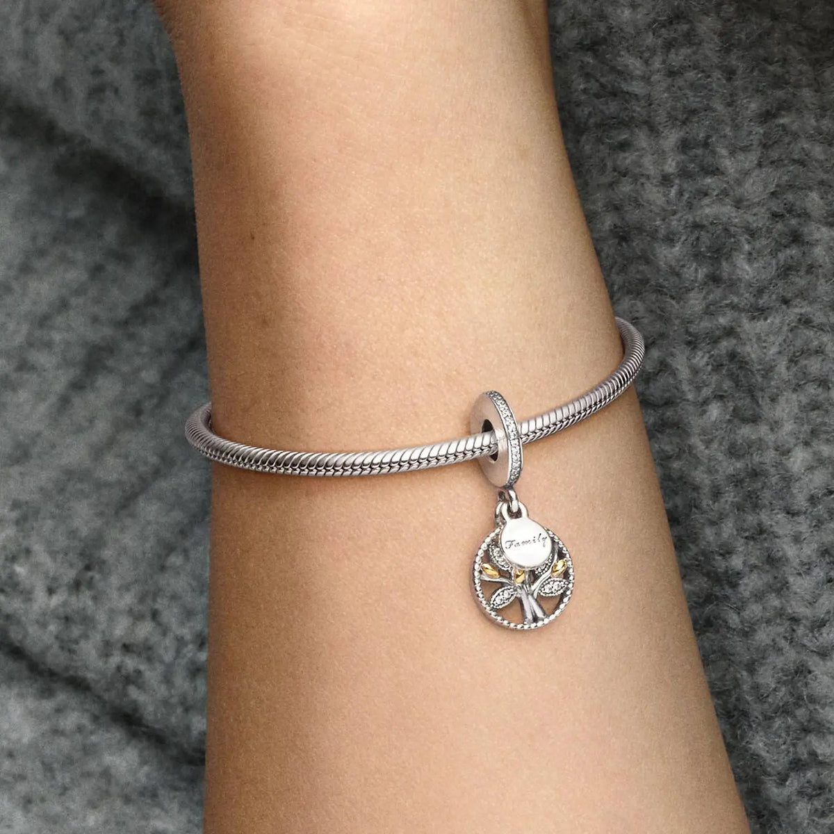 Pandora Moments Familien Stammbaum Charm-Anhänger