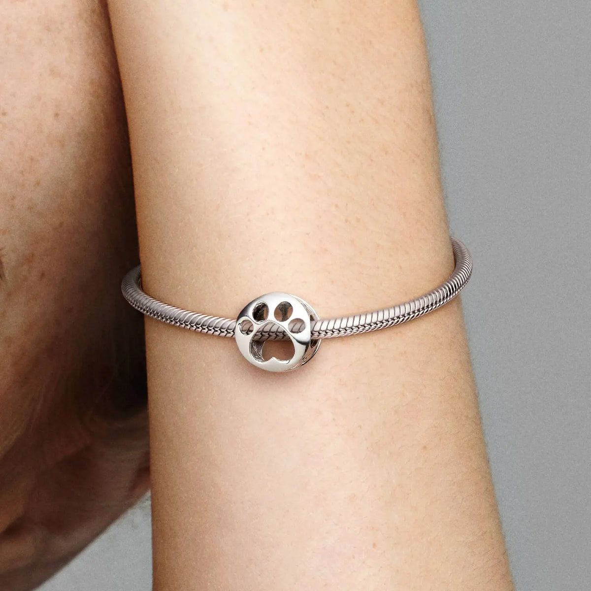 Pandora Moments Hundepfotenabdruck Charm